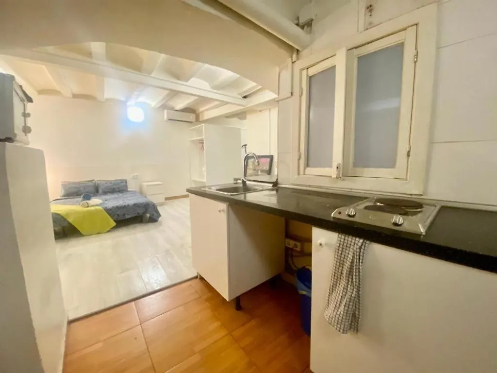 11 Basic Barca Principal 11 Apartment Barcelona